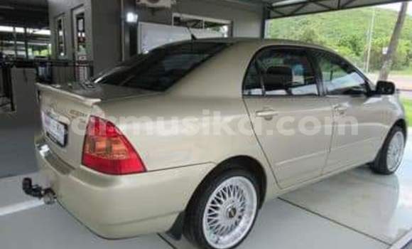 Acheter Occasion Voiture Toyota Corolla Autre à Beitbridge, Matabeleland South Acheter Occasion Voiture Toyota Corolla Autre à Beitbridge, Matabeleland South