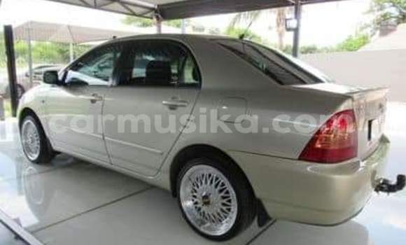 Acheter Occasion Voiture Toyota Corolla Autre à Beitbridge, Matabeleland South Acheter Occasion Voiture Toyota Corolla Autre à Beitbridge, Matabeleland South