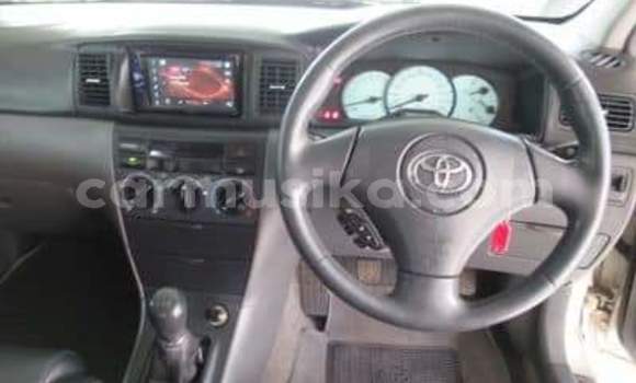 Acheter Occasion Voiture Toyota Corolla Autre à Beitbridge, Matabeleland South Acheter Occasion Voiture Toyota Corolla Autre à Beitbridge, Matabeleland South