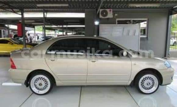 Acheter Occasion Voiture Toyota Corolla Autre à Beitbridge, Matabeleland South Acheter Occasion Voiture Toyota Corolla Autre à Beitbridge, Matabeleland South