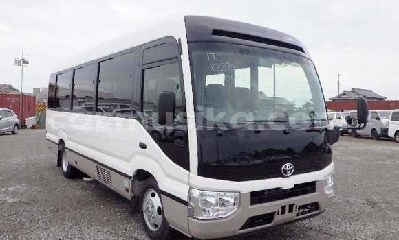 Buy Used Toyota Coaster White Car in Beitbridge in Matabeleland South