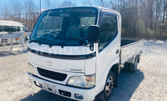 Buy Used Toyota Dyna White Truck in Beitbridge in Matabeleland South