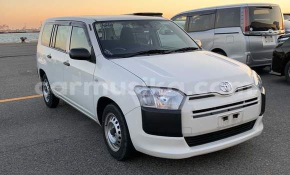 Buy Used Toyota Probox White Car in Beitbridge in Matabeleland South