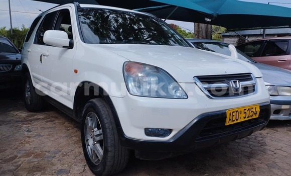 Acheter Occasion Voiture Honda CR–V Blanc à Bulawayo, Bulawayo Acheter Occasion Voiture Honda CR–V Blanc à Bulawayo, Bulawayo