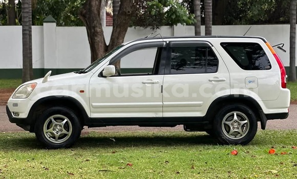 Nunua Ilio tumika Honda CR–V Nyeupe Gari ndani ya Chegutu nchini Mashonaland West