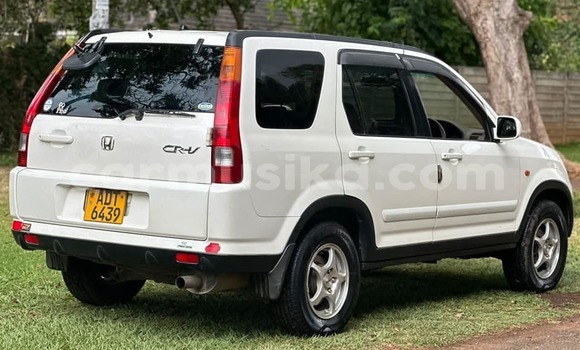 Buy Used Honda CR–V White Car in Chegutu in Mashonaland West Buy Used Honda CR–V White Car in Chegutu in Mashonaland West
