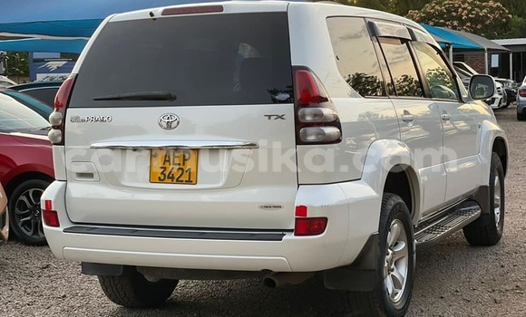 Buy Used Toyota Prado White Car in Bulawayo in Bulawayo Buy Used Toyota Prado White Car in Bulawayo in Bulawayo