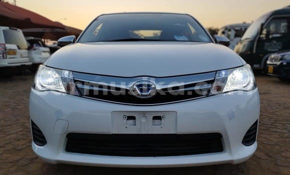 Buy Used Toyota Axio White Car in Harare in Harare