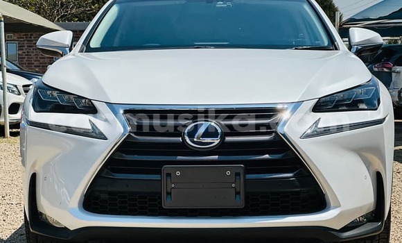 Buy Used Lexus NX Black Car in Harare in Harare