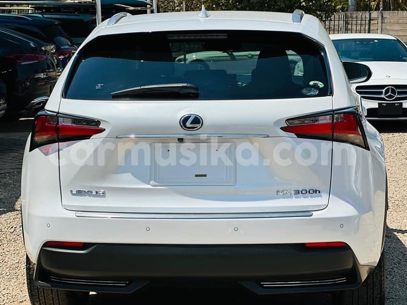 Big with watermark lexus nx harare harare 34361