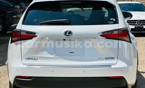 Acheter Occasion Voiture Lexus NX Noir à Harare, Harare Acheter Occasion Voiture Lexus NX Noir à Harare, Harare
