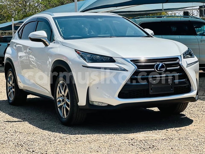 Big with watermark lexus nx harare harare 34361