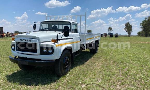 Tenga Tsaru Toyota Dyna Chena Rori in Beitbridge in Matabeleland South Tenga Tsaru Toyota Dyna Chena Rori in Beitbridge in Matabeleland South