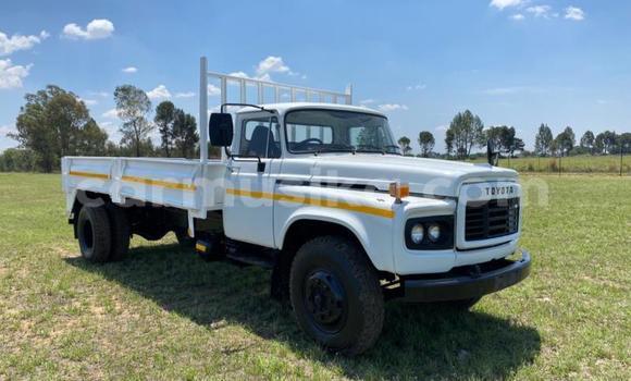 Tenga Tsaru Toyota Dyna Chena Rori in Beitbridge in Matabeleland South Tenga Tsaru Toyota Dyna Chena Rori in Beitbridge in Matabeleland South