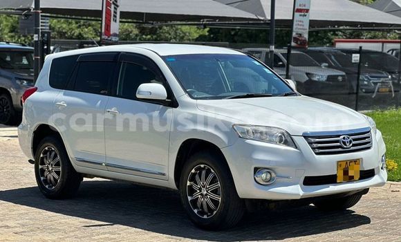 Buy Used Toyota Vanguard Other Car in Harare in Harare