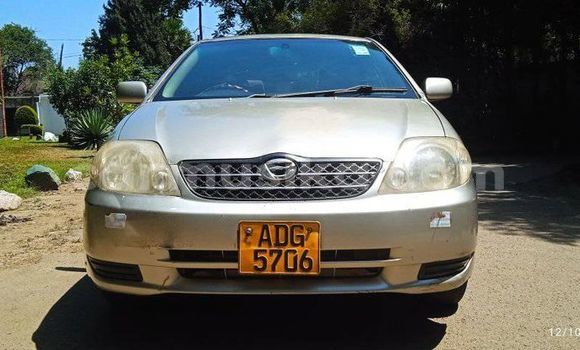 Nunua Ilio tumika Toyota Corolla Nyingine Gari ndani ya Harare nchini Harare