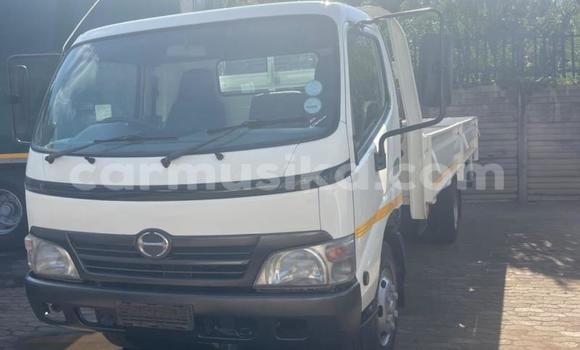 Buy Used Hino 300 Series White Truck in Harare in Harare