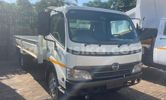 Tenga Tsaru Hino 300 Series Chena Rori in Harare in Harare Tenga Tsaru Hino 300 Series Chena Rori in Harare in Harare
