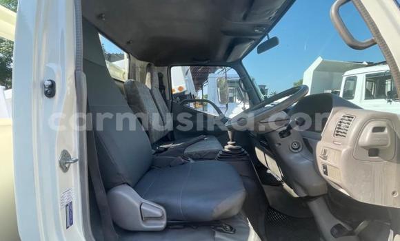 Tenga Tsaru Hino 300 Series Chena Rori in Harare in Harare Tenga Tsaru Hino 300 Series Chena Rori in Harare in Harare