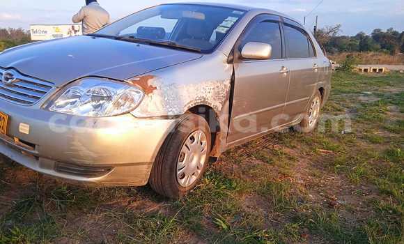 Acheter Occasion Voiture Toyota Corolla Autre à Chegutu, Mashonaland West Acheter Occasion Voiture Toyota Corolla Autre à Chegutu, Mashonaland West