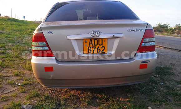 Acheter Occasion Voiture Toyota Corolla Autre à Chegutu, Mashonaland West Acheter Occasion Voiture Toyota Corolla Autre à Chegutu, Mashonaland West