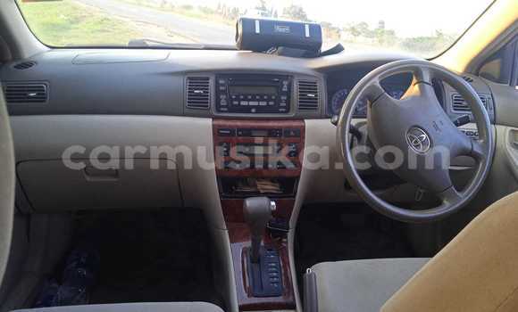 Acheter Occasion Voiture Toyota Corolla Autre à Chegutu, Mashonaland West Acheter Occasion Voiture Toyota Corolla Autre à Chegutu, Mashonaland West