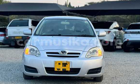 Acheter Occasion Voiture Toyota Runx Autre à Beitbridge, Matabeleland South Acheter Occasion Voiture Toyota Runx Autre à Beitbridge, Matabeleland South