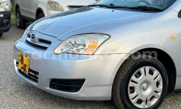 Acheter Occasion Voiture Toyota Runx Autre à Beitbridge, Matabeleland South Acheter Occasion Voiture Toyota Runx Autre à Beitbridge, Matabeleland South