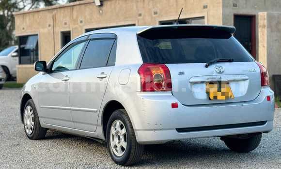 Acheter Occasion Voiture Toyota Runx Autre à Beitbridge, Matabeleland South Acheter Occasion Voiture Toyota Runx Autre à Beitbridge, Matabeleland South