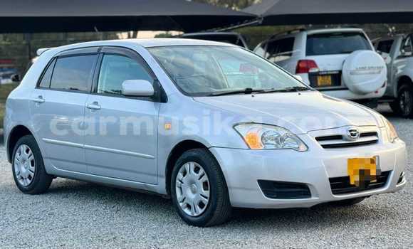 Acheter Occasion Voiture Toyota Runx Autre à Beitbridge, Matabeleland South Acheter Occasion Voiture Toyota Runx Autre à Beitbridge, Matabeleland South