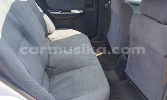 Acheter Occasion Voiture Nissan Sunny Blanc à Bindura, Mashonaland Central Acheter Occasion Voiture Nissan Sunny Blanc à Bindura, Mashonaland Central