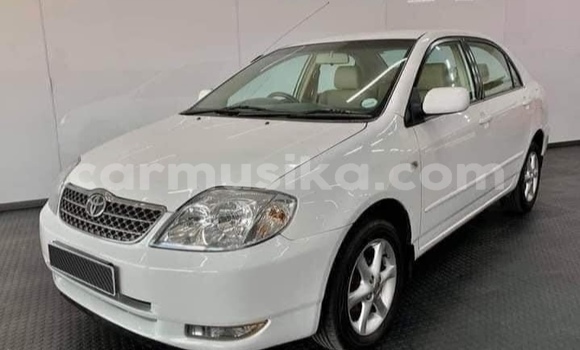 Nunua Ilio tumika Toyota Corolla Nyeupe Gari ndani ya Beitbridge nchini Matabeleland Kusini