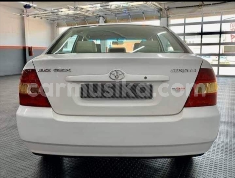 Big with watermark toyota corolla matabeleland south beitbridge 34439