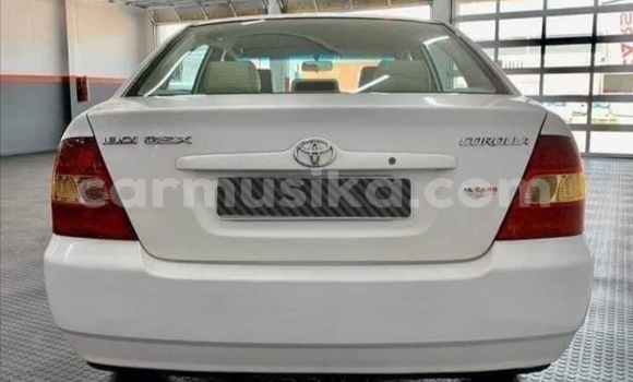 Acheter Occasion Voiture Toyota Corolla Blanc à Beitbridge, Matabeleland South Acheter Occasion Voiture Toyota Corolla Blanc à Beitbridge, Matabeleland South