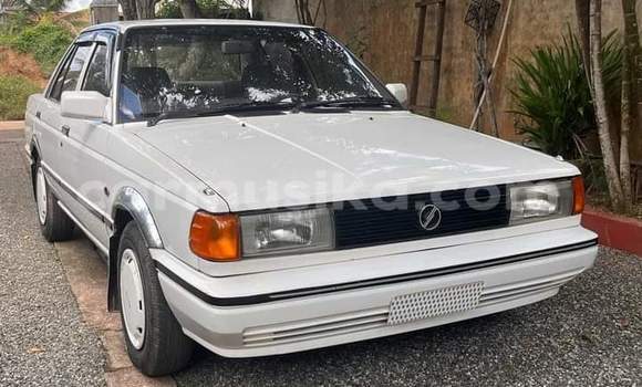 Buy Used Nissan Sunny White Car in Beitbridge in Matabeleland South