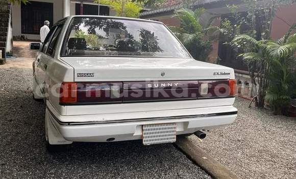 Acheter Occasion Voiture Nissan Sunny Blanc à Beitbridge, Matabeleland South Acheter Occasion Voiture Nissan Sunny Blanc à Beitbridge, Matabeleland South