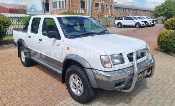 Buy Used Nissan Hardbody White Car in Beitbridge in Matabeleland South Buy Used Nissan Hardbody White Car in Beitbridge in Matabeleland South