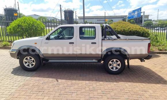 Acheter Occasion Voiture Nissan Hardbody Blanc à Beitbridge, Matabeleland South Acheter Occasion Voiture Nissan Hardbody Blanc à Beitbridge, Matabeleland South