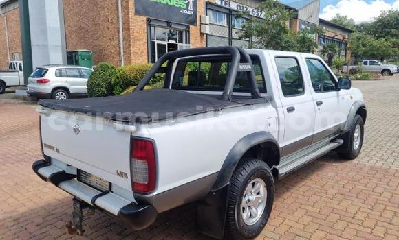 Acheter Occasion Voiture Nissan Hardbody Blanc à Beitbridge, Matabeleland South Acheter Occasion Voiture Nissan Hardbody Blanc à Beitbridge, Matabeleland South