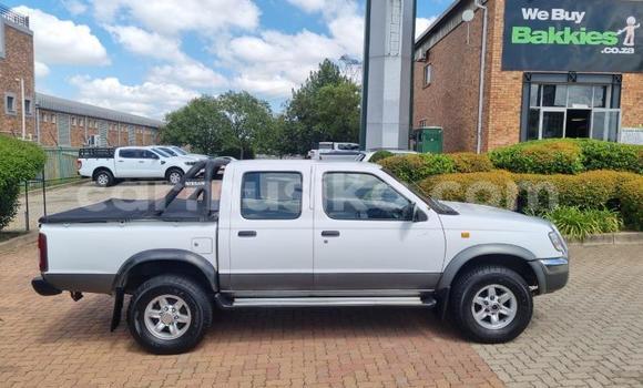 Acheter Occasion Voiture Nissan Hardbody Blanc à Beitbridge, Matabeleland South Acheter Occasion Voiture Nissan Hardbody Blanc à Beitbridge, Matabeleland South