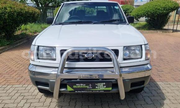 Acheter Occasion Voiture Nissan Hardbody Blanc à Beitbridge, Matabeleland South Acheter Occasion Voiture Nissan Hardbody Blanc à Beitbridge, Matabeleland South