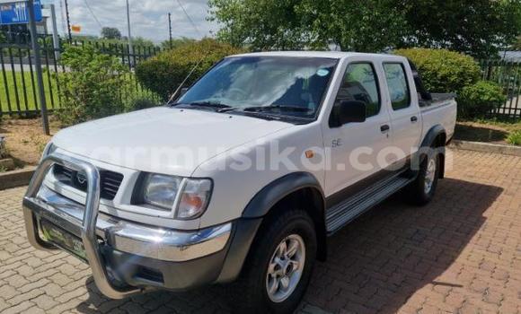 Acheter Occasion Voiture Nissan Hardbody Blanc à Beitbridge, Matabeleland South Acheter Occasion Voiture Nissan Hardbody Blanc à Beitbridge, Matabeleland South