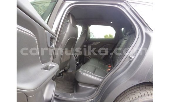 Acheter Import Voiture Jaguar F-Type Noir à Import - Dubai, Harare Acheter Import Voiture Jaguar F-Type Noir à Import - Dubai, Harare