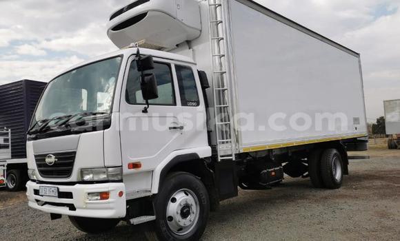 Buy Used Nissan UD White Truck in Beitbridge in Matabeleland South Buy Used Nissan UD White Truck in Beitbridge in Matabeleland South