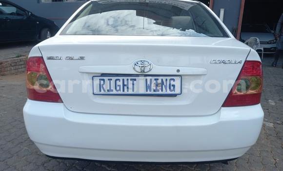 Buy Used Toyota Corolla White Car in Beitbridge in Matabeleland South Buy Used Toyota Corolla White Car in Beitbridge in Matabeleland South