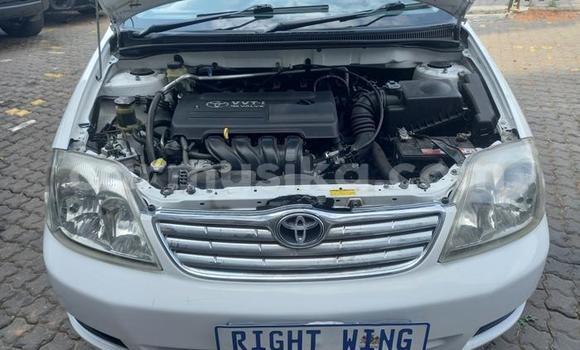 Buy Used Toyota Corolla White Car in Beitbridge in Matabeleland South Buy Used Toyota Corolla White Car in Beitbridge in Matabeleland South