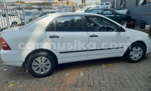 Buy Used Toyota Corolla White Car in Beitbridge in Matabeleland South Buy Used Toyota Corolla White Car in Beitbridge in Matabeleland South