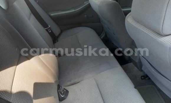 Buy Used Toyota Corolla White Car in Beitbridge in Matabeleland South Buy Used Toyota Corolla White Car in Beitbridge in Matabeleland South