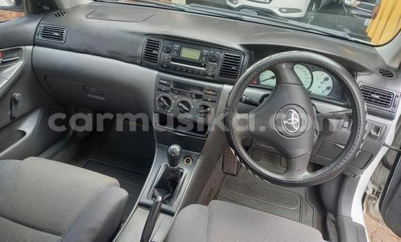 Buy Used Toyota Corolla White Car in Beitbridge in Matabeleland South Buy Used Toyota Corolla White Car in Beitbridge in Matabeleland South