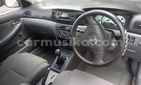 Buy Used Toyota Corolla White Car in Beitbridge in Matabeleland South Buy Used Toyota Corolla White Car in Beitbridge in Matabeleland South